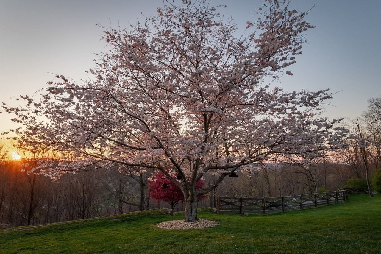 720 Valhalla Ln - Photo 4 of 50