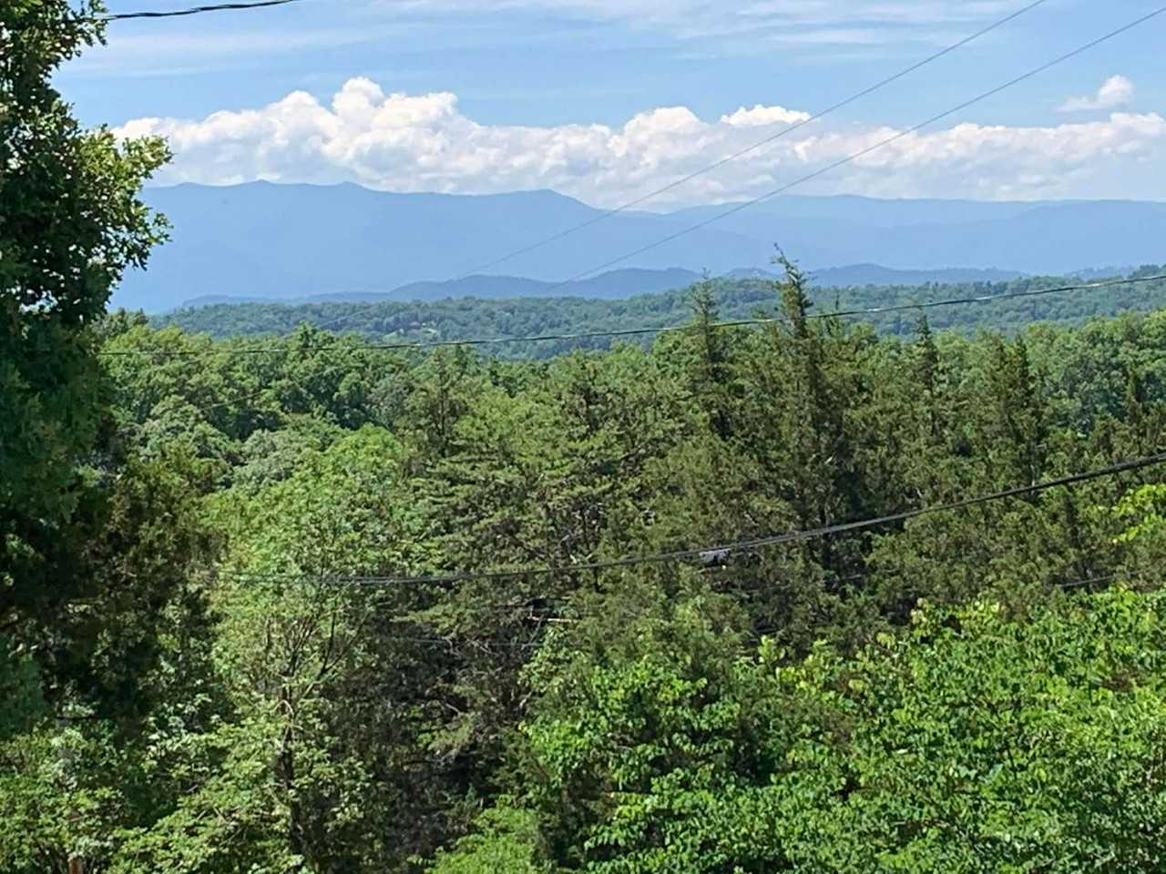 1006 Pleasure Rd - Photo 2 of 18