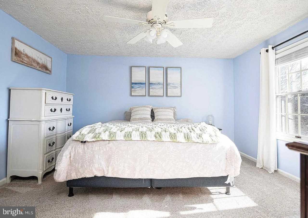 133 Spruce Woods Ct - Photo 6 of 15