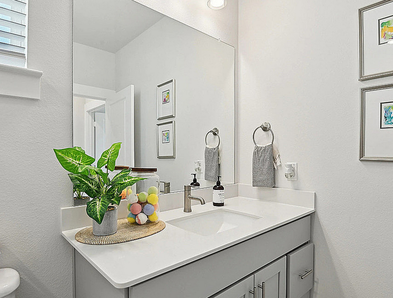 3151 Winter Rose Way - Photo 5 of 12