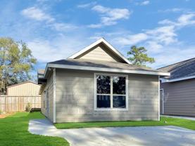 9770 Black Gum - Photo 1 of 1