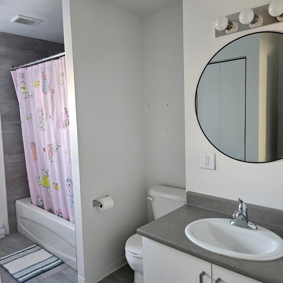 2526 Rue Sainte-Catherine Est #2526 - Photo 4 of 8