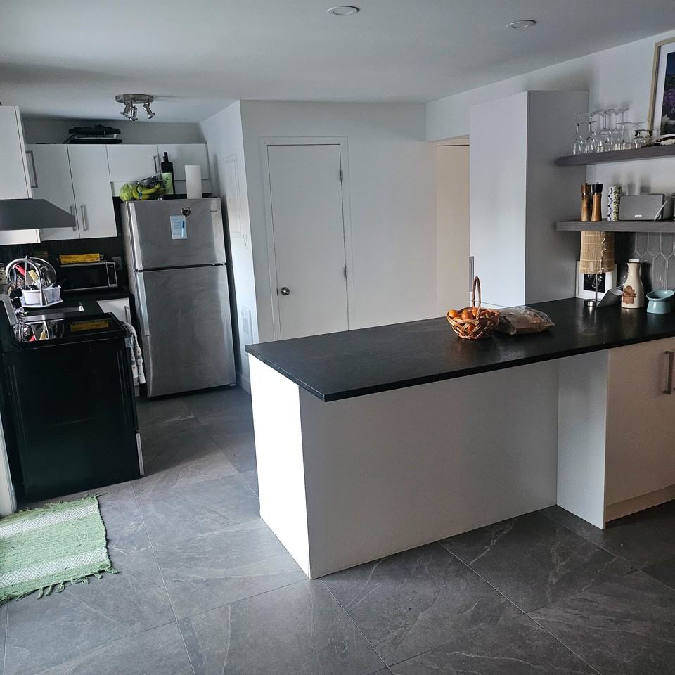 2526 Rue Sainte-Catherine Est #2526 - Photo 7 of 8