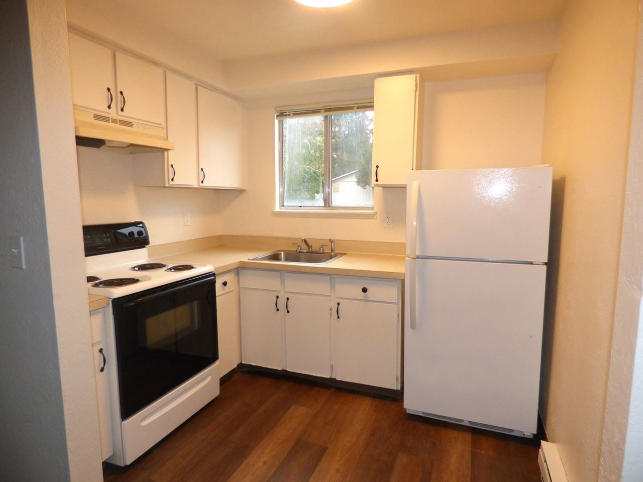 Springwood Terrace - Photo 7 of 50