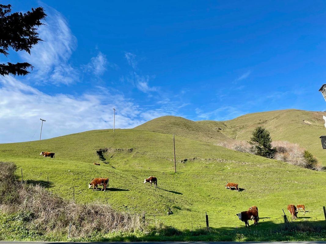 29960 California 116 - Photo 6 of 12