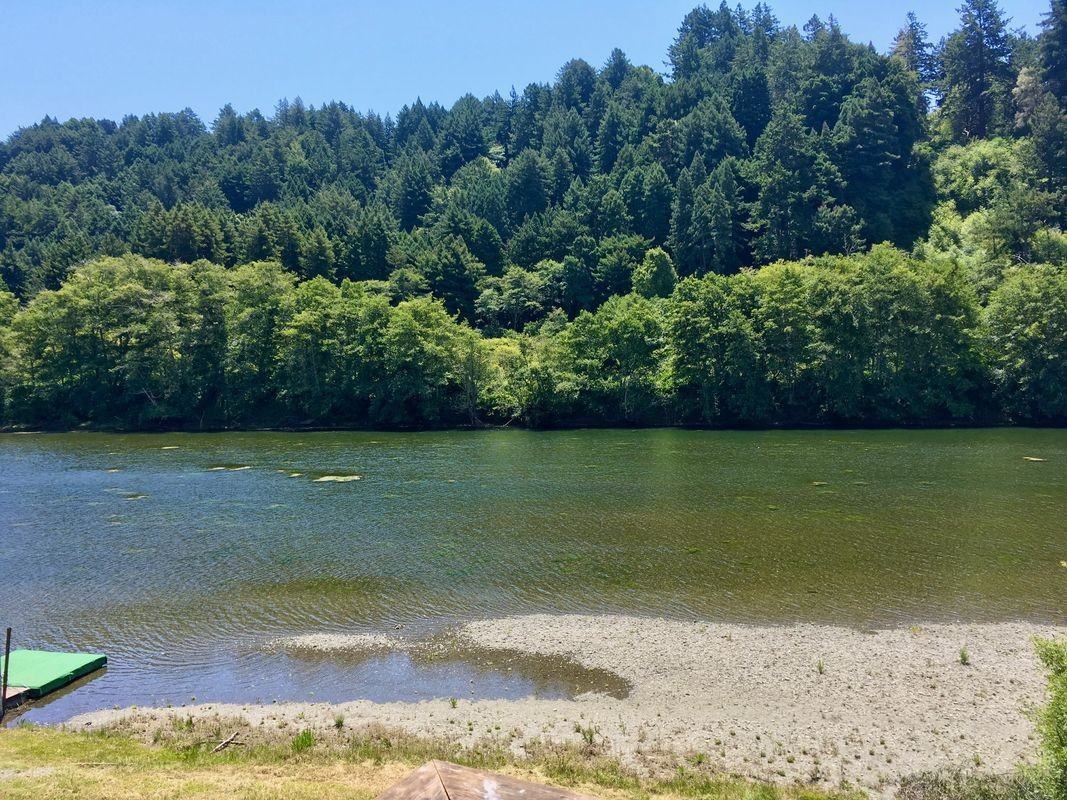 29960 California 116 - Photo 7 of 12