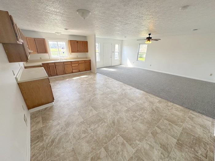 814 Griffin St - Photo 4 of 28