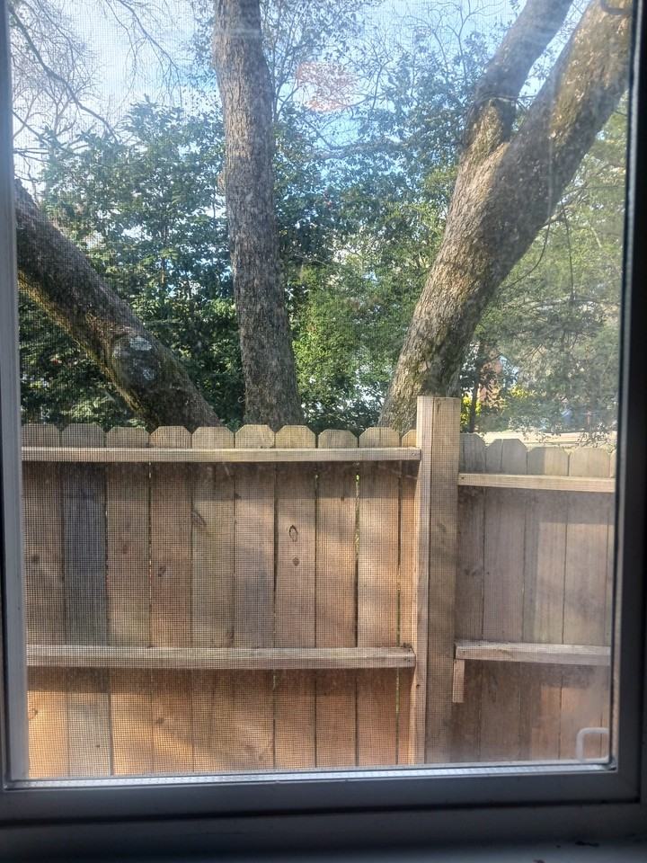 3330 Myrtle St #NA - Photo 3 of 7