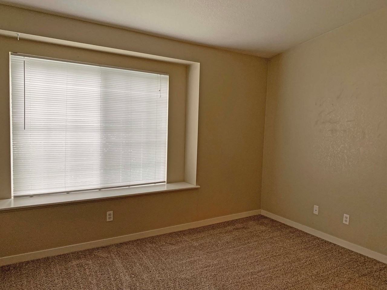 1225 W Prospect Rd #R43 - Photo 5 of 10