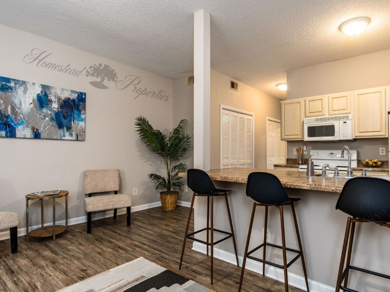 Spacious 1 Bedroom, 1 Bath Apartment on W. Main St – Johnson City, TN - Photo 3 of 12