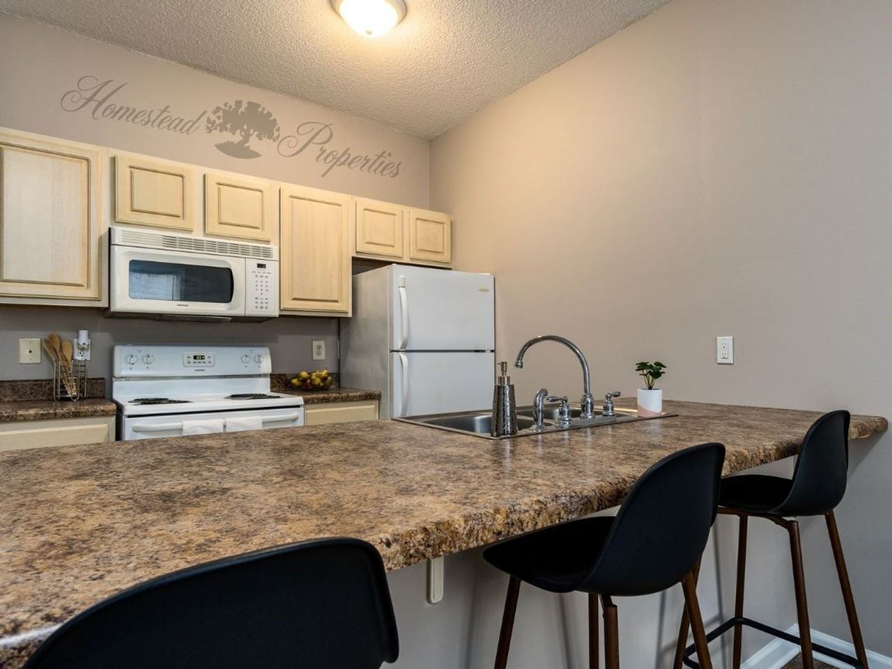 Spacious 1 Bedroom, 1 Bath Apartment on W. Main St – Johnson City, TN - Photo 4 of 12