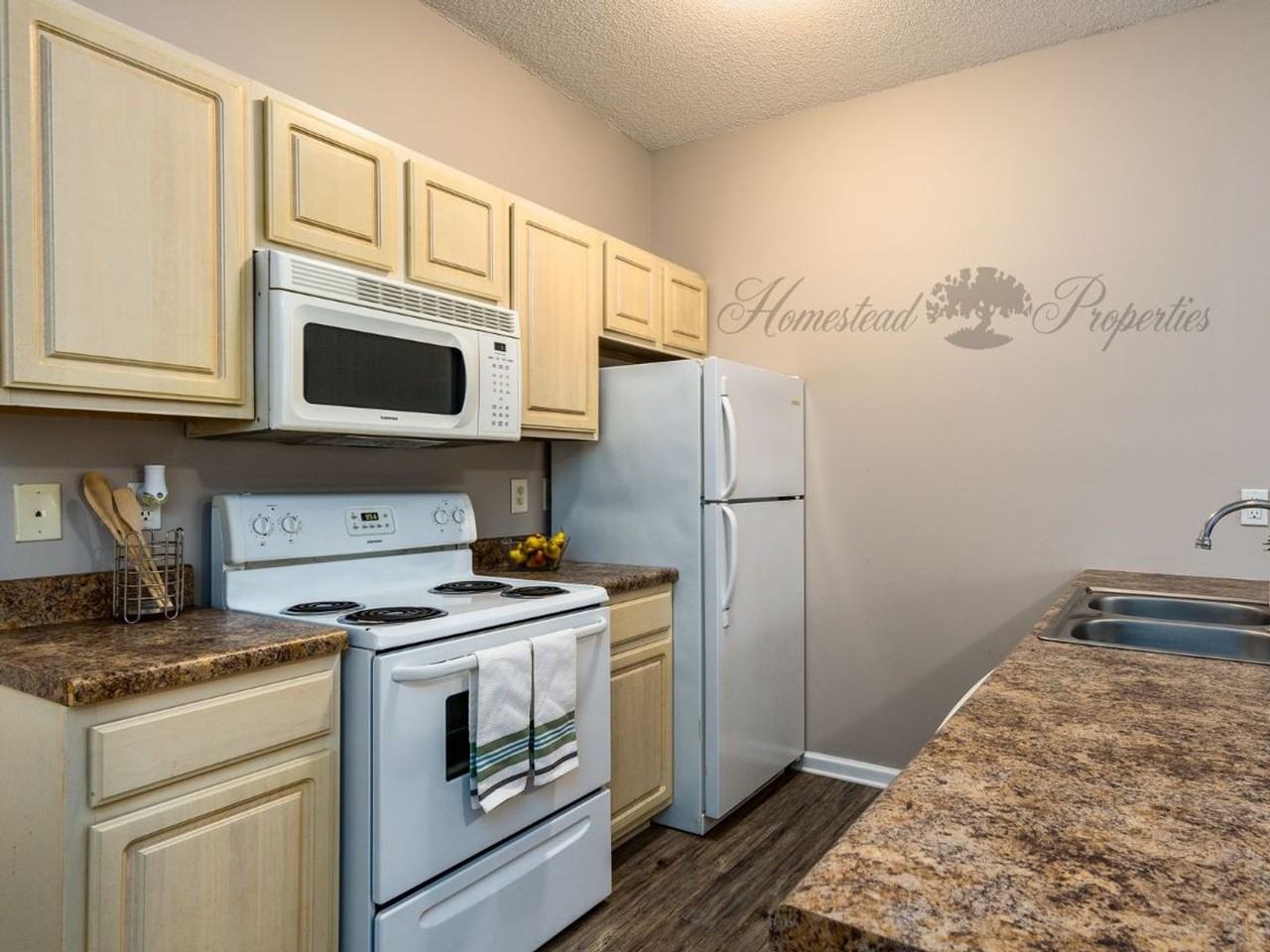 Spacious 1 Bedroom, 1 Bath Apartment on W. Main St – Johnson City, TN - Photo 5 of 12