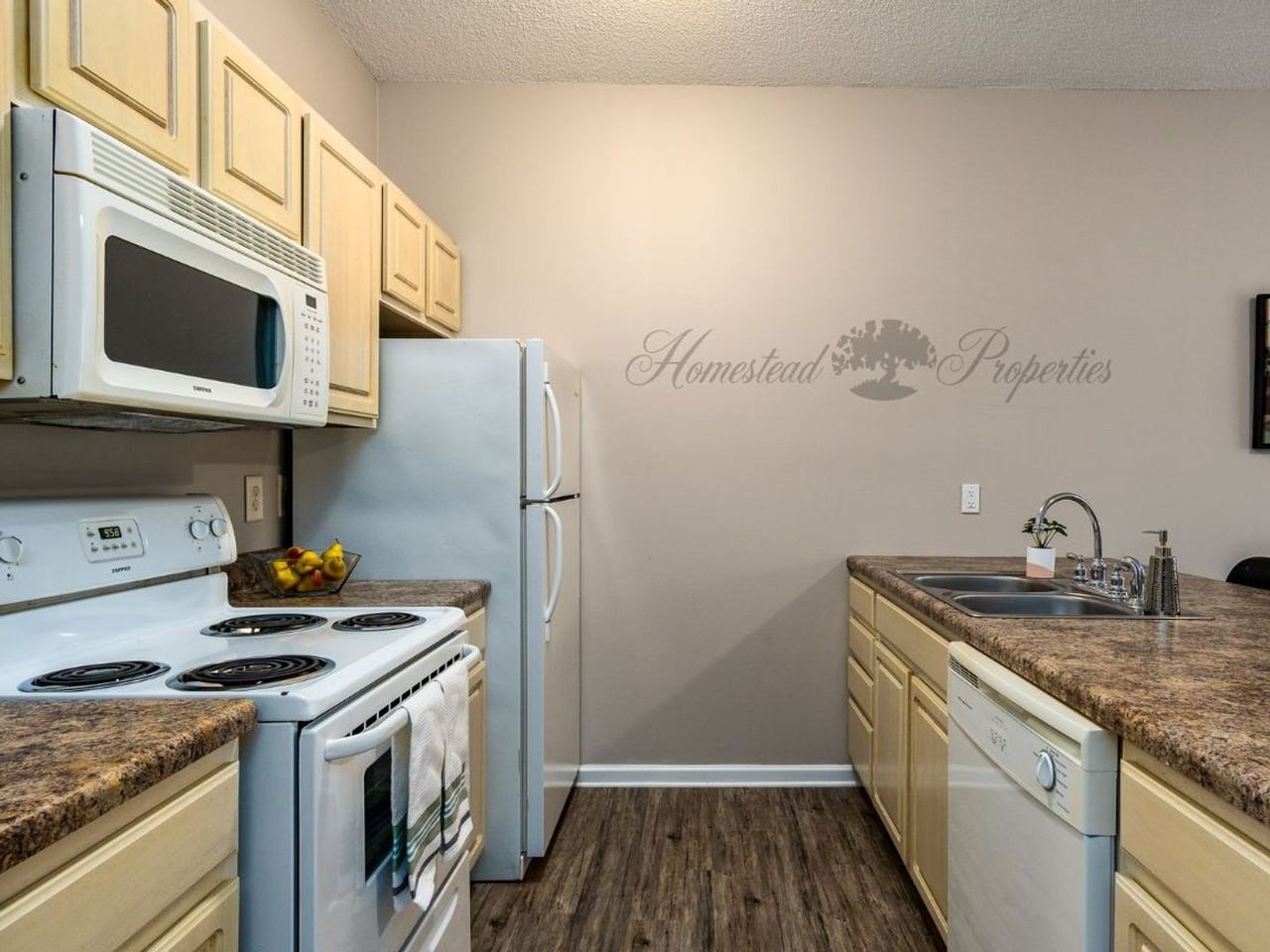 Spacious 1 Bedroom, 1 Bath Apartment on W. Main St – Johnson City, TN - Photo 6 of 12