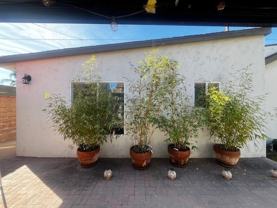 11432 Hadley St - Photo 1 of 1