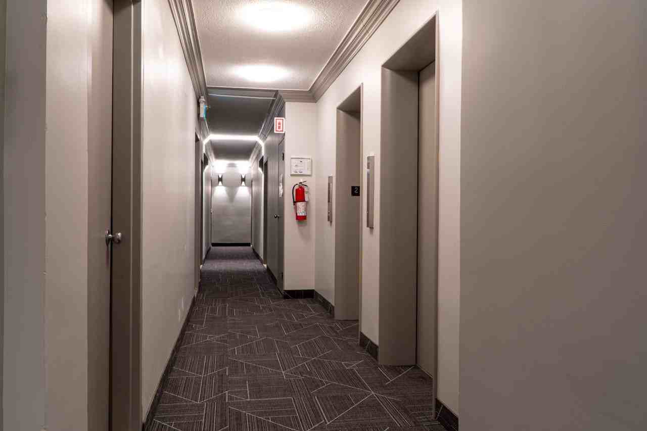 4488 STE-CATHERINE - Photo 3 of 9