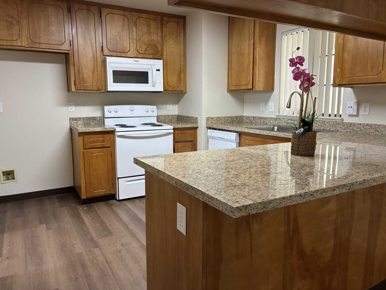 1800 La Corunna Pl #D - Photo 4 of 24