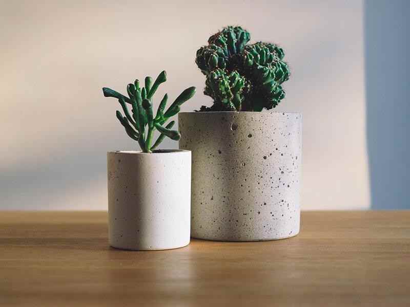 1562 E Main St - Photo 2 of 9