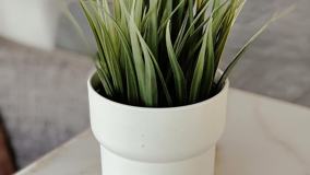 1464 Montecito Rd - Photo 1 of 1