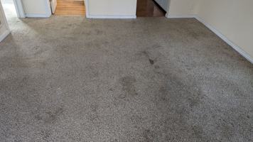 featured image of 806 S Saville Ave