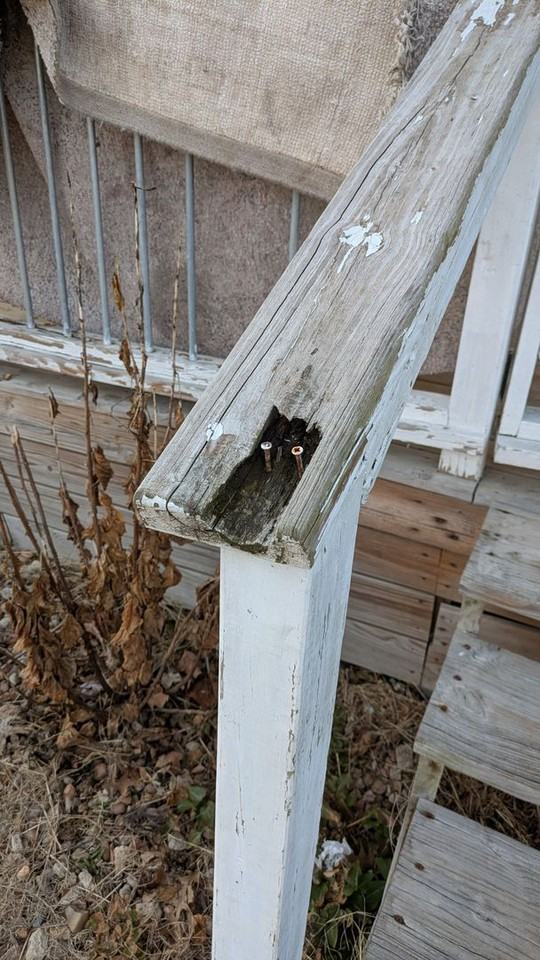 806 S Saville Ave - Photo 2 of 25