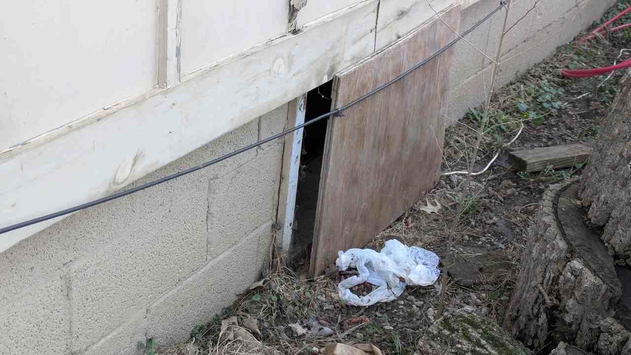 806 S Saville Ave - Photo 3 of 25