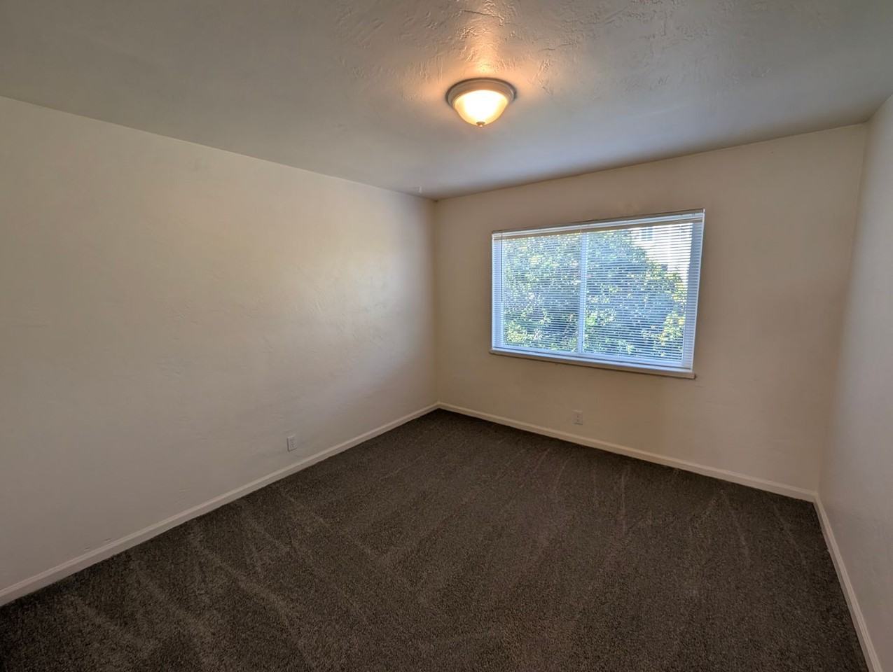 1747 21st Ave - Photo 4 of 9