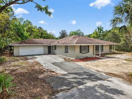 featured image of 11426 Palmetto Dr