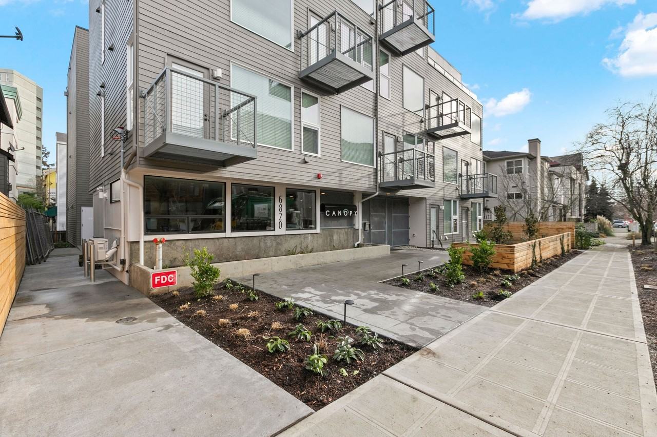 Canopy - Photo 7 of 9