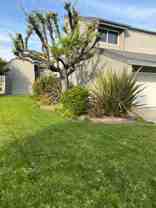 203 Venice Ave #3 - Photo 1 of 1