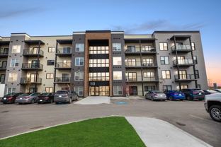 Luna at Aurora - Photo 1 of 1