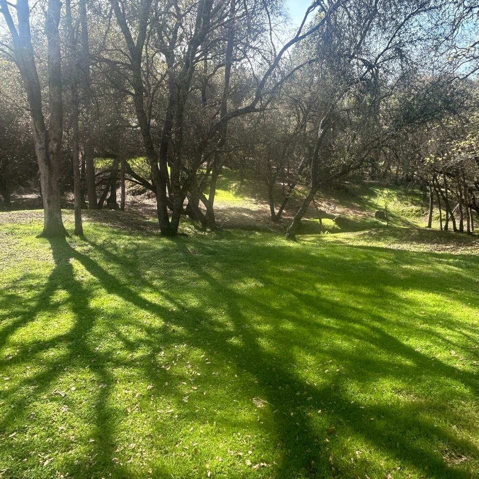 12760 Golden Trout Way - Photo 4 of 34