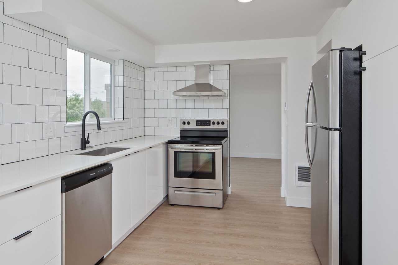 Marigold - Photo 3 of 50