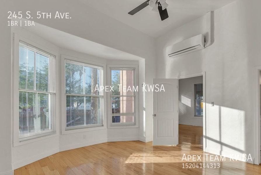 245 S 5th Ave - Photo 2 of 30