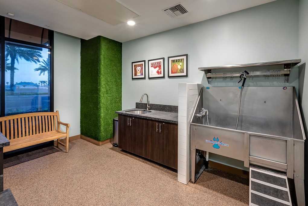 Park Viridian - Photo 5 of 50