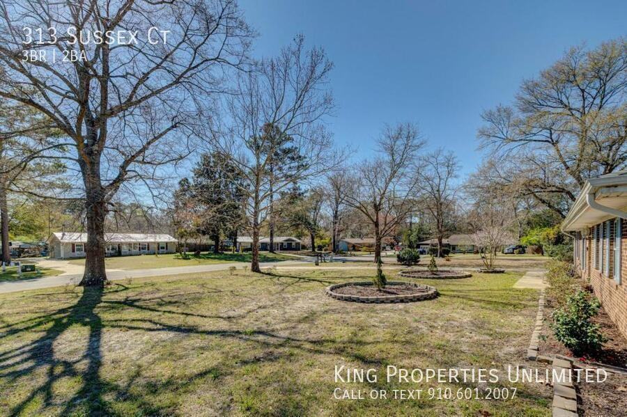 313 Sussex Ct - Photo 4 of 28