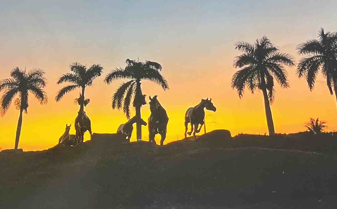 9060 Michael Cir #12 - Photo 3 of 10