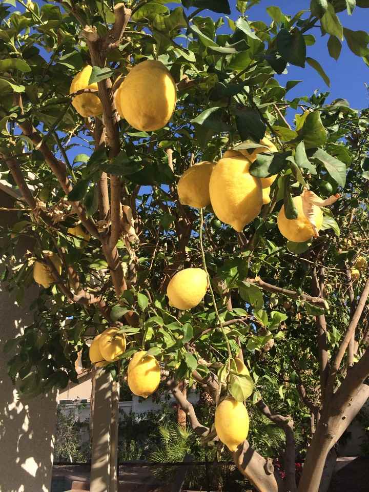 272 Corte San Marco #NA - Photo 4 of 19