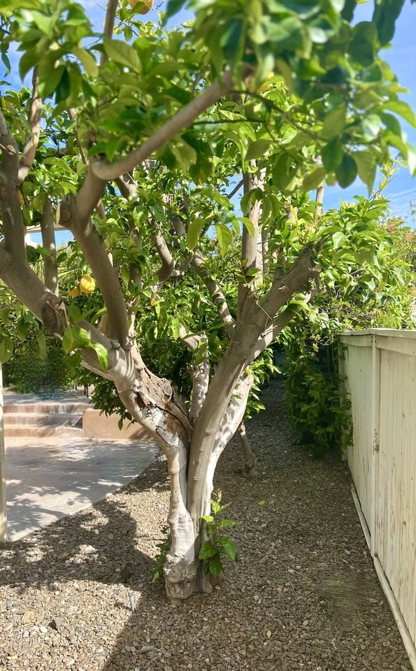 272 Corte San Marco #NA - Photo 7 of 19