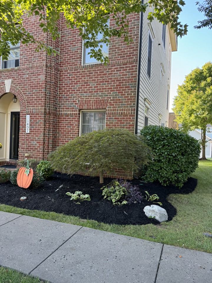 11407 Iager Blvd - Photo 2 of 19