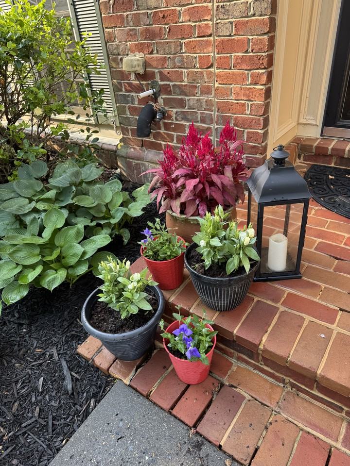 11407 Iager Blvd - Photo 3 of 19