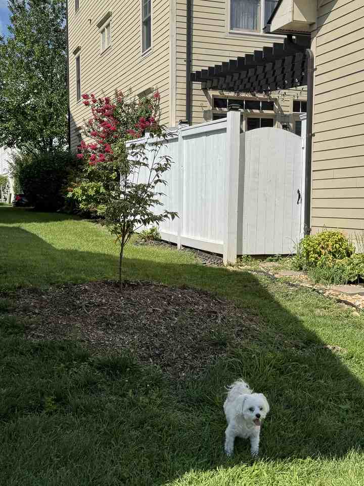 11407 Iager Blvd - Photo 7 of 19