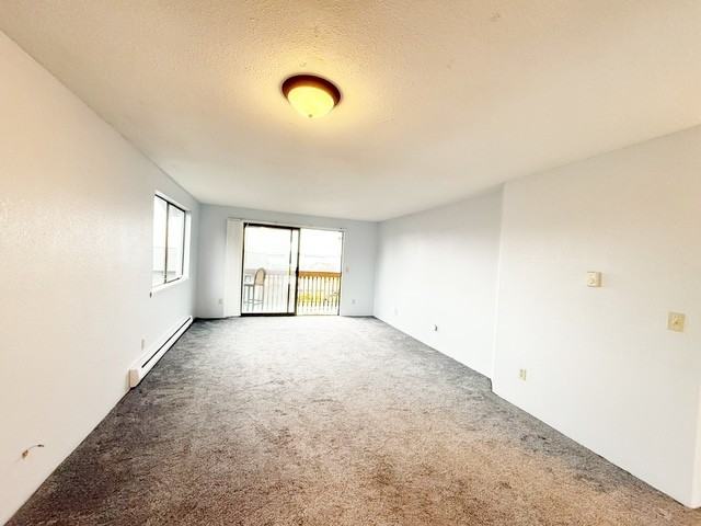 2161 Spring East Street - Photo 5 of 20