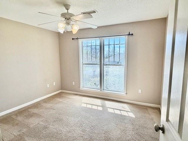 106 Telluride Ln - Photo 3 of 10