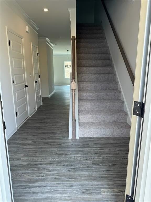 423 Perth Dr - Photo 6 of 23