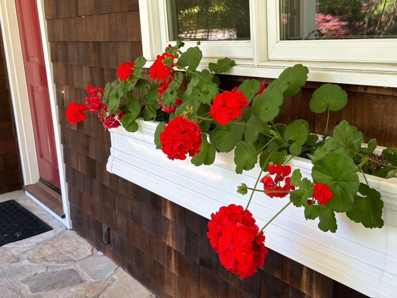 15 Martin Ln - Photo 4 of 31