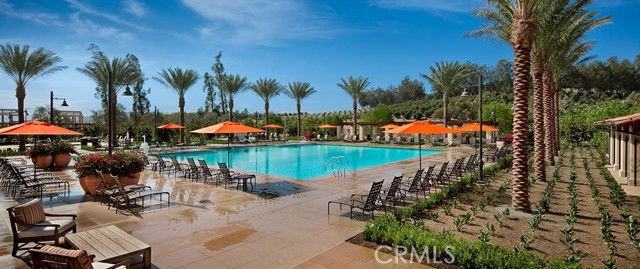 8 Last Bloom - Photo 4 of 8