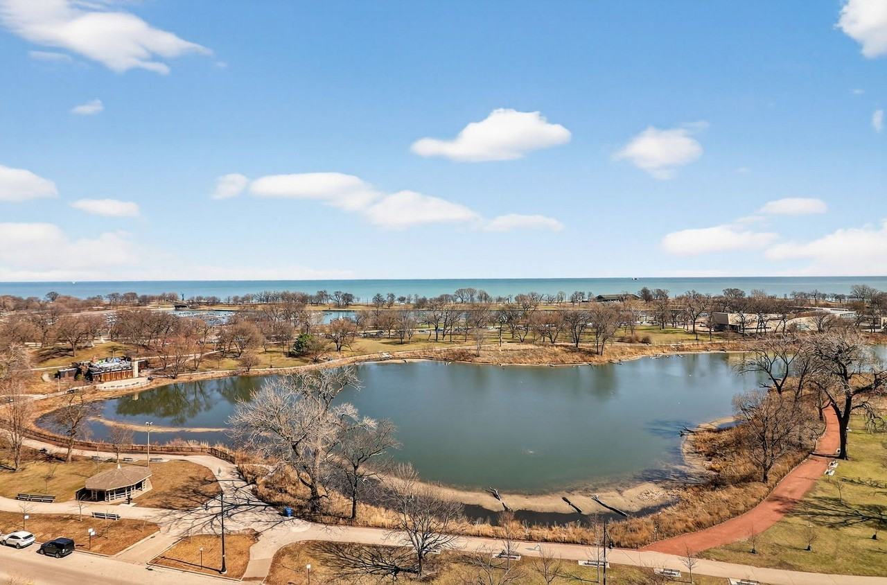 2500 N Lakeview Ave Apt 1304 - Photo 4 of 22