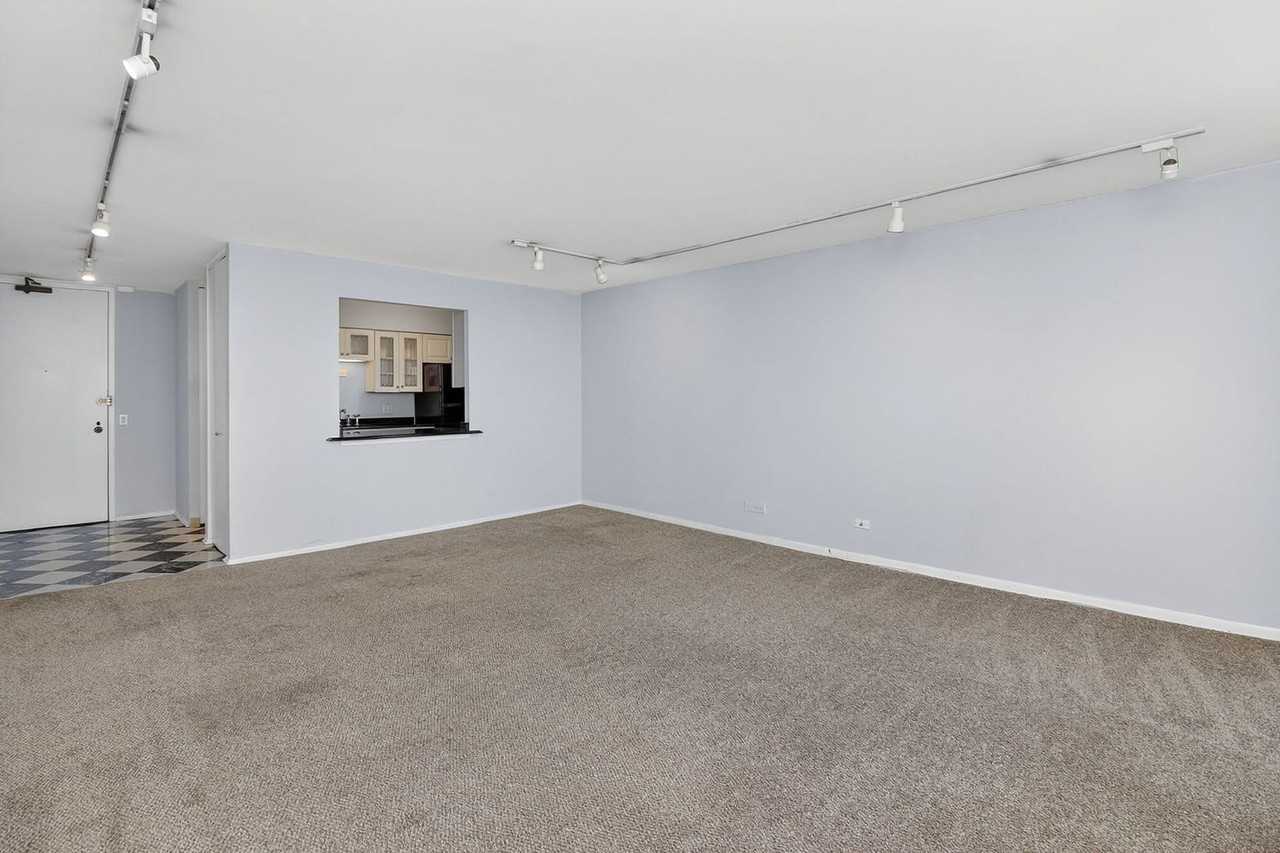 2500 N Lakeview Ave Apt 1304 - Photo 5 of 22