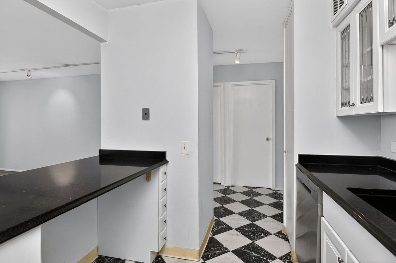 2500 N Lakeview Ave Apt 1304 - Photo 7 of 22