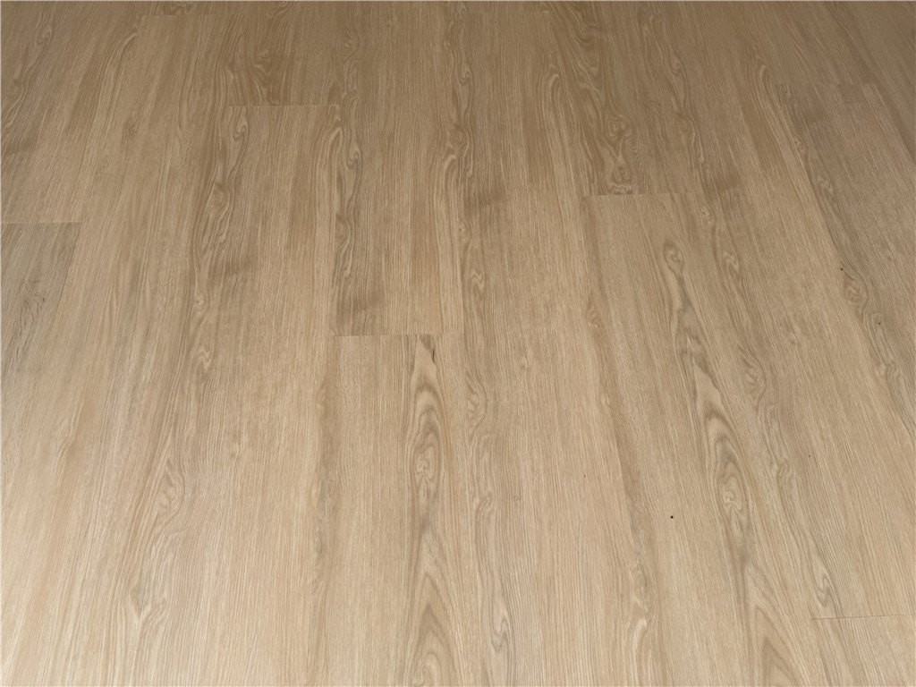 19248 Palm Way - Photo 6 of 7